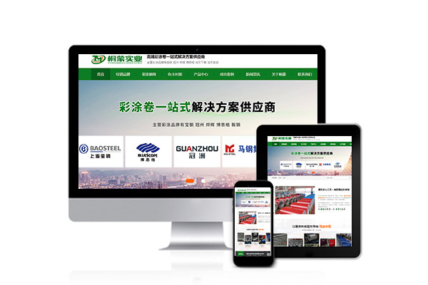 为什么要选择专业的网站建设公司